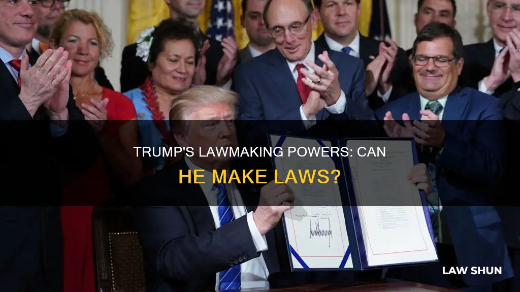 can trump make laws