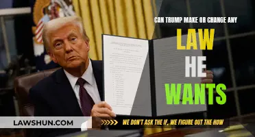 Trump's Lawmaking Power: Unbound or Bound?