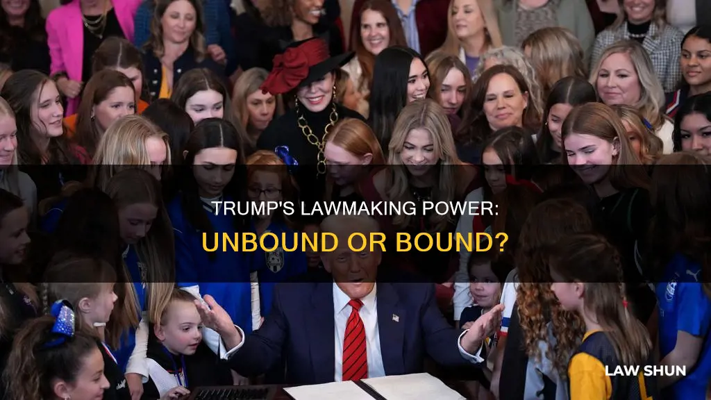 can trump make or change any law he wants