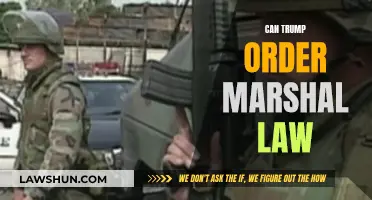 Trump's Martial Law: Is It Possible?