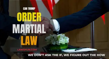 Martial Law: Can Trump Order It?
