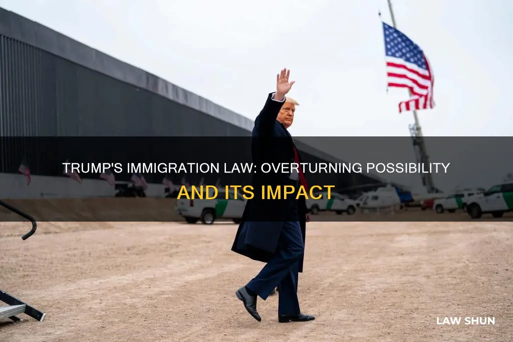 can trump over turn the immigration law