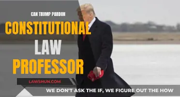 Trump's Pardon Power: Can He Pardon a Professor?