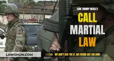 Martial Law: Can Trump Pull It Off?