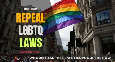 Trump's Potential Repeal of LGBTQ Laws: What's at Stake?
