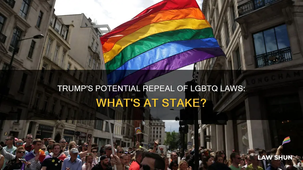can trump repeal lgbtq laws