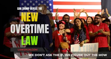Trump's Challenge: New Overtime Law Repeal Possible?