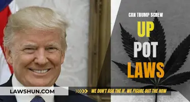 Trump's Potential Impact on Pot Laws: What Could Go Wrong?