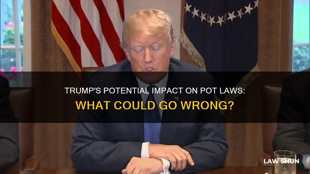 can trump screw up pot laws