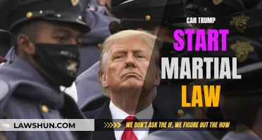 Trump's Martial Law: A Real Possibility?