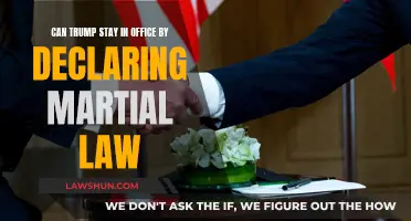 Martial Law: Trump's Last Stand?