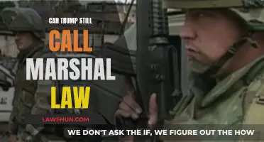 Trump's Martial Law: A Real Possibility or Empty Threat?