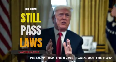 Trump's Power: Can He Still Pass Laws?