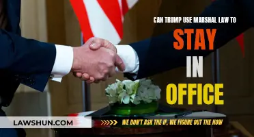 Martial Law: Trump's Ploy to Cling to Power?
