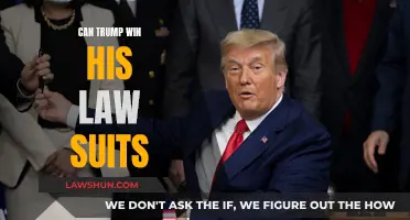 Trump's Lawsuits: Will He Win?