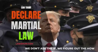 Martial Law: Can Trump Declare It?