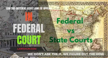 Federal Court: State Laws or Federal Laws?