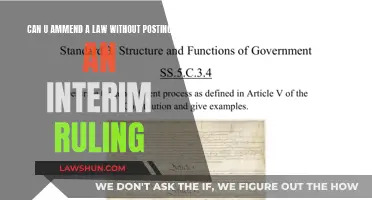 Amending Laws: Interim Rulings and Their Importance