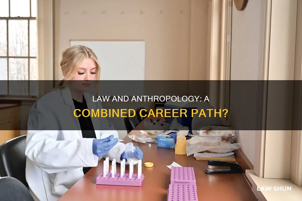 can u do law with anthropology degree