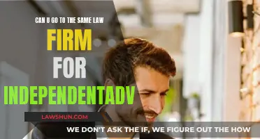 Seeking Independent Advice: Navigating Law Firm Dynamics