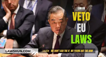 UK's Veto Power Over EU Laws: What's the Reality?
