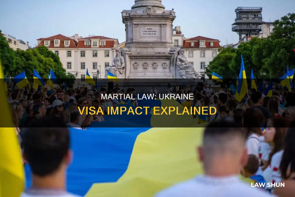 can ulraine martial law impact visa