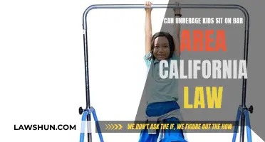 California Law: Underage Kids in Bar Areas