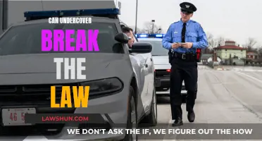 Undercover Cops: To What Extent Are They Above the Law?