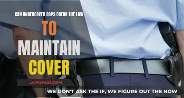 Undercover Cops: Law-Breaking to Maintain Cover?