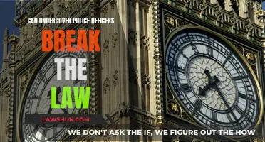 Undercover Cops: To What Extent Can They Break the Law?