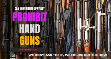 Universities' Authority to Ban Hand Guns: Lawful?