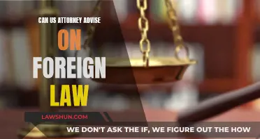 US Attorney's Foreign Law Advice: What's the Verdict?