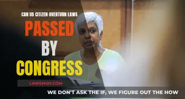 How US Citizens Can Overturn Congressional Laws