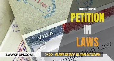 Petition Power: US Citizens' Right to Challenge In-Laws