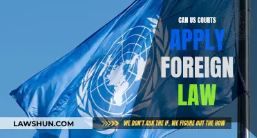 Foreign Law: Can US Courts Apply It?