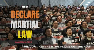 Martial Law: Can the US Ever Enact It?
