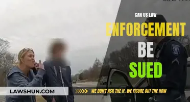 US Law Enforcement: Can They Be Sued?