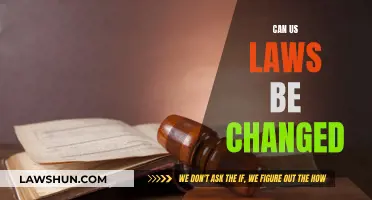Transforming US Laws: Possibility or Pipe Dream?