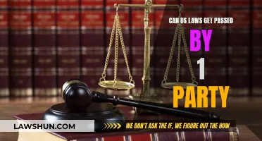 US Laws: One-Party Rule and its Complexities