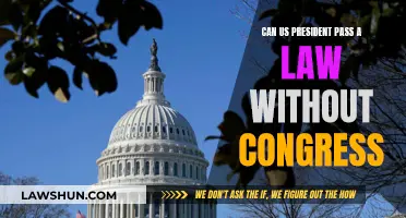 The President's Power: Laws Without Congress?