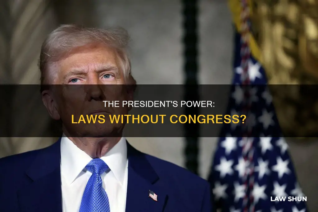 can us president pass a law without congress