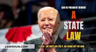 Presidential Power: Can US President Overrule State Law?
