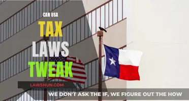US Tax Laws: A Necessary Tweak?