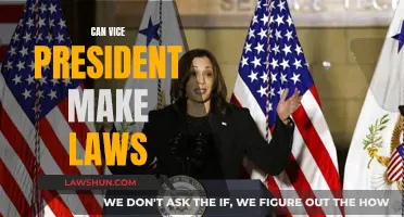 Vice President's Lawmaking Powers: Explained