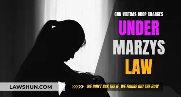 Understanding Victims' Rights: Dropping Charges Under Marcy's Law