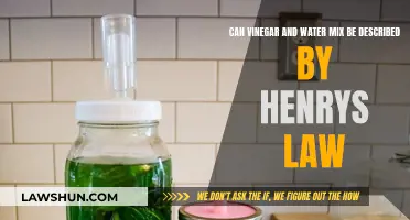 Understanding Henry's Law with Vinegar and Water Solutions