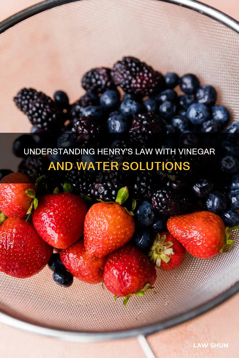 can vinegar and water mix be described by henrys law