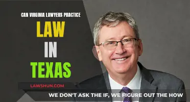 Practicing Law Across State Lines: Virginia to Texas