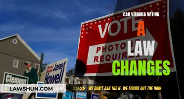 Virginia's Voting Law: Changes, Impacts, and Democracy