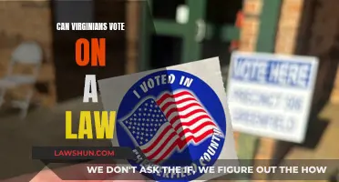 Virginians' Voting Power: Can They Influence Lawmaking?
